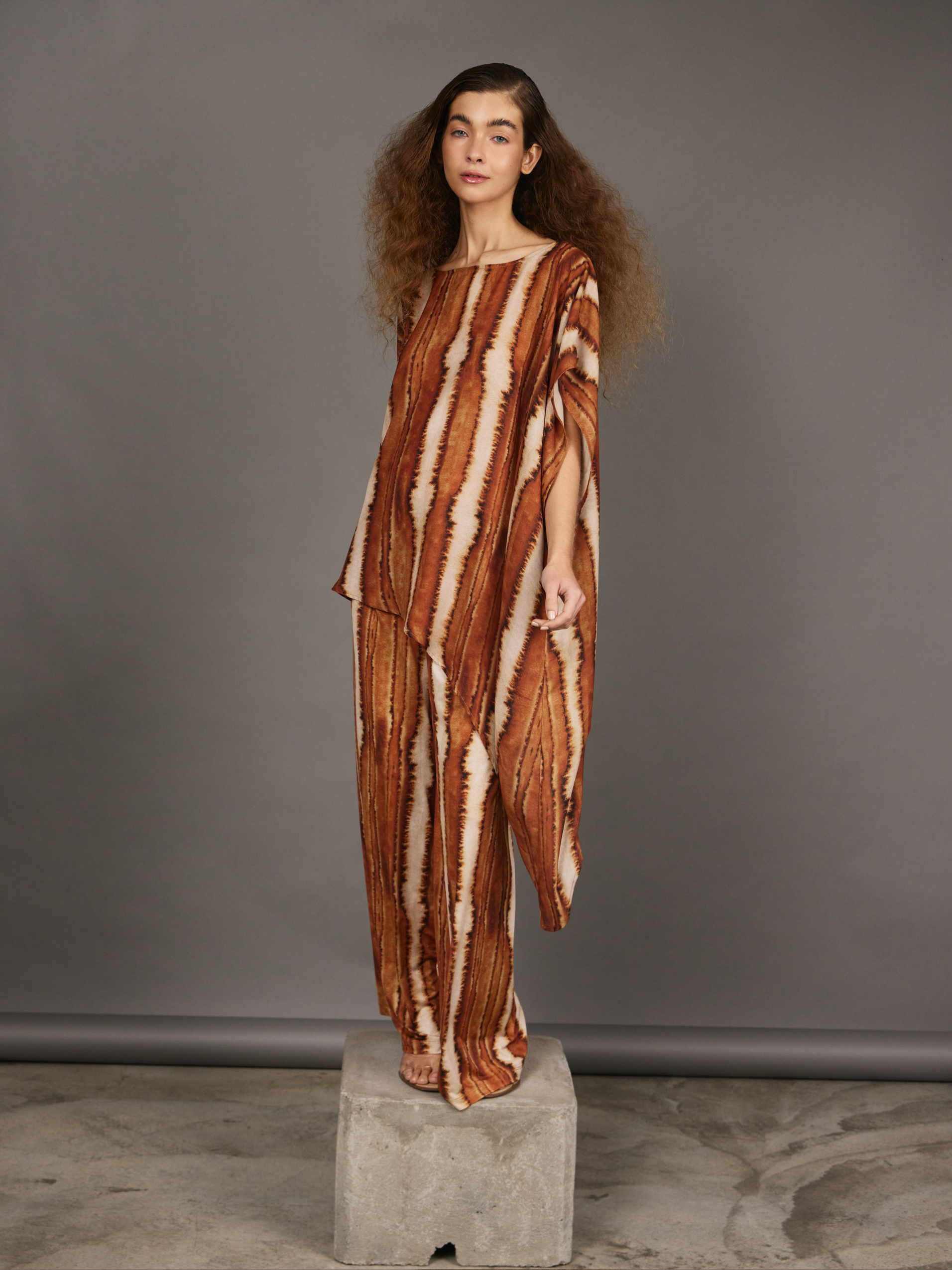 Palazzo con Pliegues - Raices